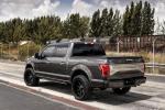 Ford F-150 Platinum by Exclusive Motoring 2015 года
